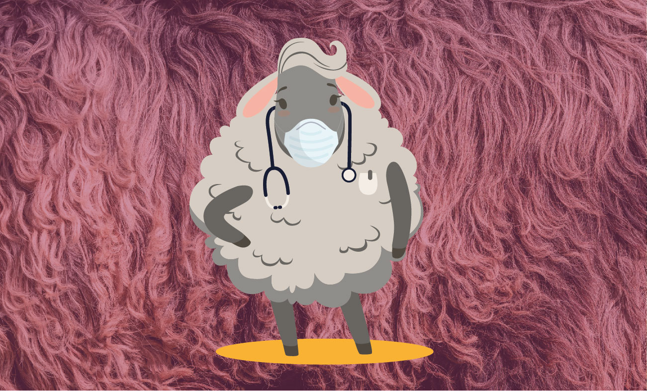 Ministerio de la Salud